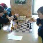 Областные соревнования по шахматам «Белая ладья»