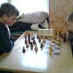 Областные соревнования по шахматам «Белая ладья»