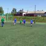 Соревнования по футболу среди команд общеобразовательных учреждений.